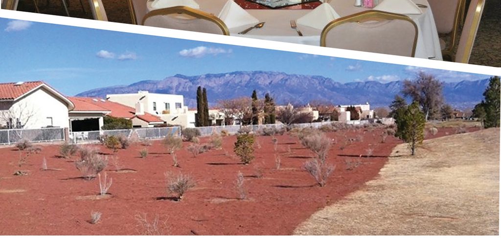 bg3 1 Albuquerque Public Golf Course & Event Center
